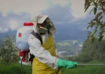 Mochila fumigadora: características y beneficios para el jardinero mexicano