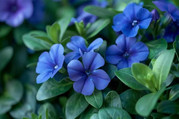 color azul plumbago