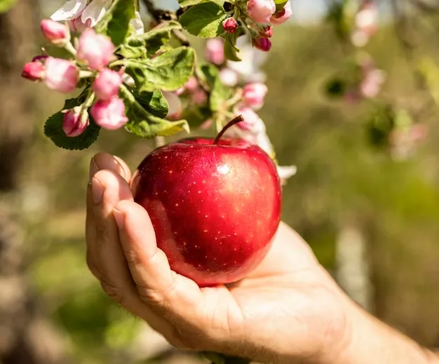 manzano arbol