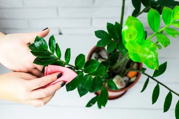 planta corazón de maría, cuidados esenciales para mantener su belleza