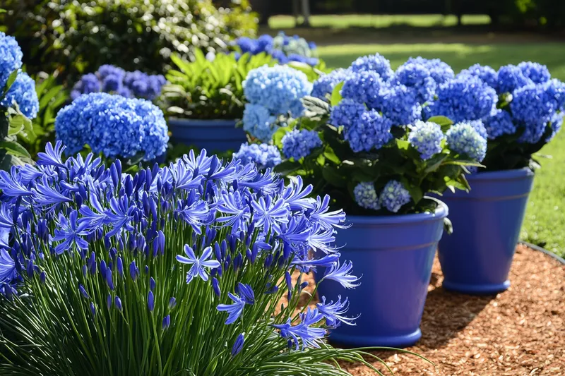 plantas con flores azules