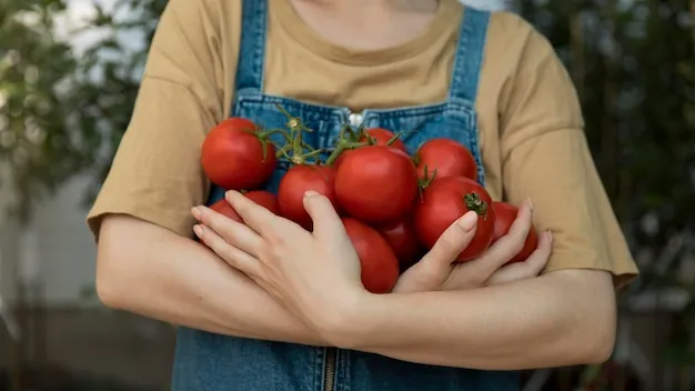 tomate pera